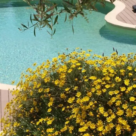 In Cagnes-sur-mer, With Pool Access, Enclosed Garden And Wifi - Apartment