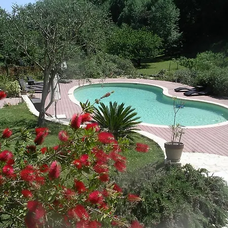 Apartment In Cagnes-sur-mer, With Pool Access, Enclosed Garden And Wifi - *